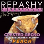Crested-Gecko-MRP-peach