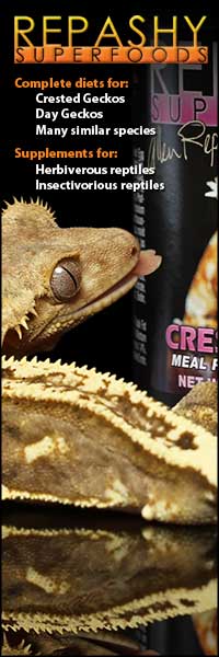 20 Dollar Crested Geckos Diet