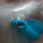 Dead_Frozen_Snakes-1