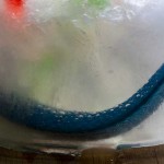Dead_Frozen_Snakes-2