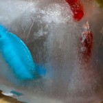 Dead_Frozen_Snakes-3